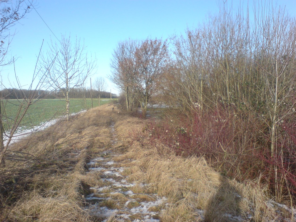 Oberweiler - Blickrichtung Blaufelden - 2009